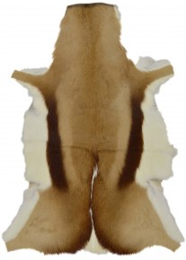 gazelle-skin-natural